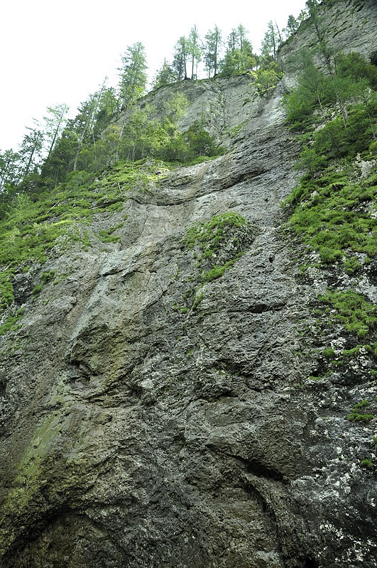 b O11